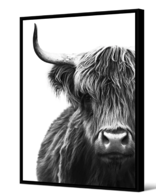 PO DE VACHE - tableau - Appalaches