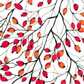 PPD - Aquarell Rosehip
